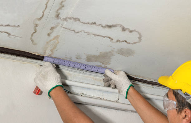 Reliable Sewage Cleanup contractor in Dazey, ND by Water Damage Irwin